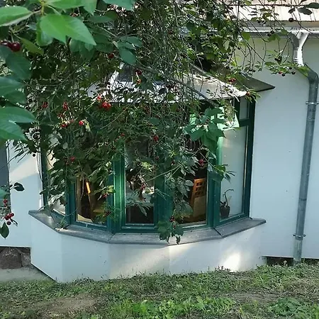 Nyugalomsziget *