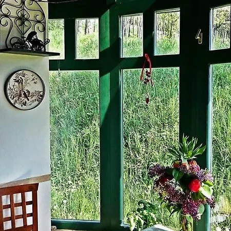 Nyugalomsziget Сasa de vacaciones