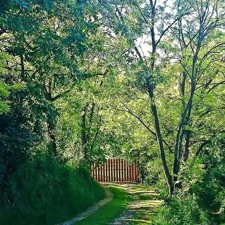 Nyugalomsziget Kotcse